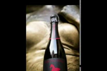 RISCHIO REALE ELEVATING THE ORGANIC WINE INDUSTRY