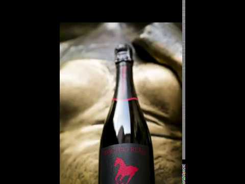 RISCHIO REALE ELEVATING THE ORGANIC WINE INDUSTRY RISCHIO REALE ELEVATING THE ORGANIC WINE INDUSTRY