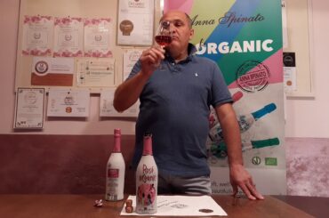 Rosé Sparkling Organic Brut ReWArt - The tasting