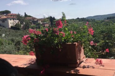 Italy - amazing lunch