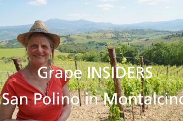 Grape INSIDERS: San Polino in Montalcino