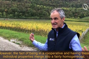 Agroecological IPM - The experience of using pheromones in Trentino, Italy