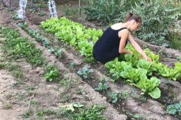 Village Life in Italy. Cooking Village Food