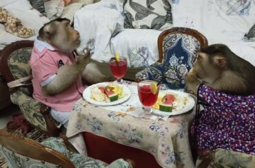 Jk Shaki Dinner At Italian Restaurant Pasitano Risto