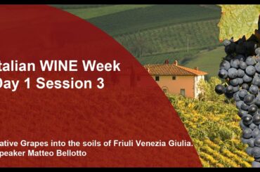 Italian WINE Week (Day 1 Session 3) - The Native Grapes into the soils of Friuli Venezia Giulia