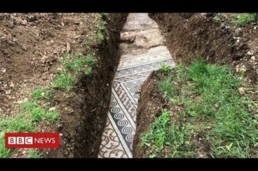 Roman mosaic floor found under Italian vineyard  - Latest News