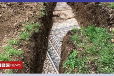 Roman mosaic floor found under Italian vineyard