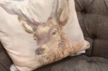 Top Secret Furniture - Discover Luxury for Less