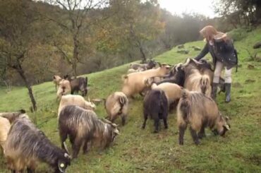 Dream of Italy: Full Tuscany Episode