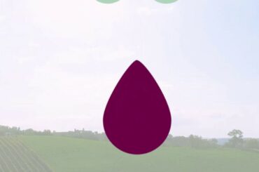 CrowdWine short trailer (English version)