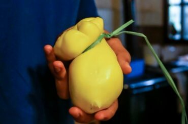 Scamorza Cheese Recipe | The Recipe Hunters in Italy