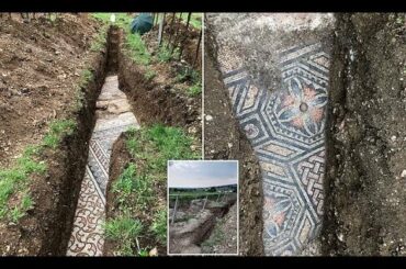 Perfectly preserved mosaic floor unearthed in an Italian vineyard