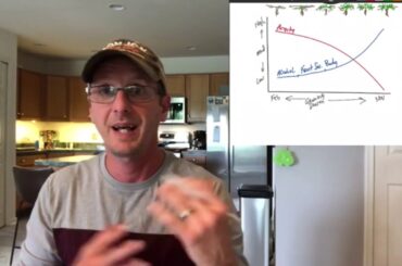 Understanding wine profiles as grape mature on the vine