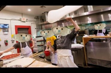 We see Bears making(cooking) mozzarella pizza🍕
