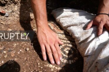 Italy: Ancient Roman mosaic floor discovered under vineyard