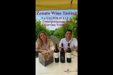 Zenato Wine Tasting | Valpolicella