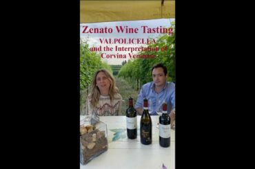 Zenato Wine Tasting | Valpolicella