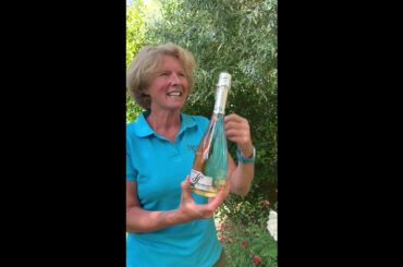 Great wine choices - Sacchetto Spumante Blush, Italy