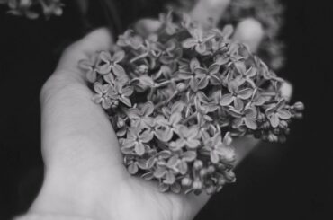 Lilac wine - Jeff Buckley cover