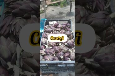 Artichokes Jewish-style ( carciofi alla giudia ) - Italian recipe