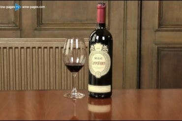 Masi, Campofiorin 2016 , wine review