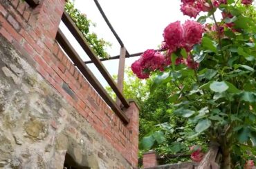 Casale Terra Bianca | Umbria | Italy | Oliver's Travels