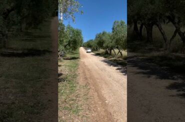 Italy 2020 Cinquecento “500”