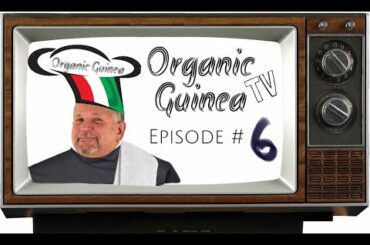 Oraganic Guinea TV - Ep 6 - Lasagna 🍝