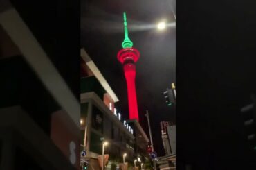 Sky Walk | Sky Tower | Auckland | Day 15 | Sanshine in New Zealand