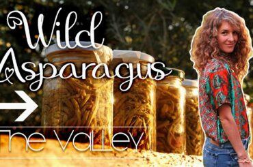 Wild Asparagus forage and preserving method | Wild food series Italy
