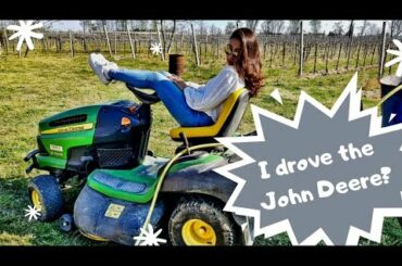 A Day In The Life : Life in the Countryside || Simple life || ITALIAN VINEYARD