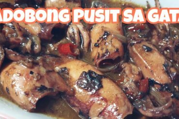 Spicy Adobong Pusit sa Gata (Spicy Squid in Coconut Milk)