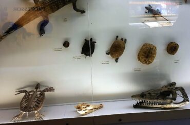 Top rated Restaurants in Simpang, Indonesia | 2020