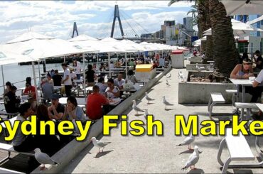 Sydney Fish Market - Sydney Australia