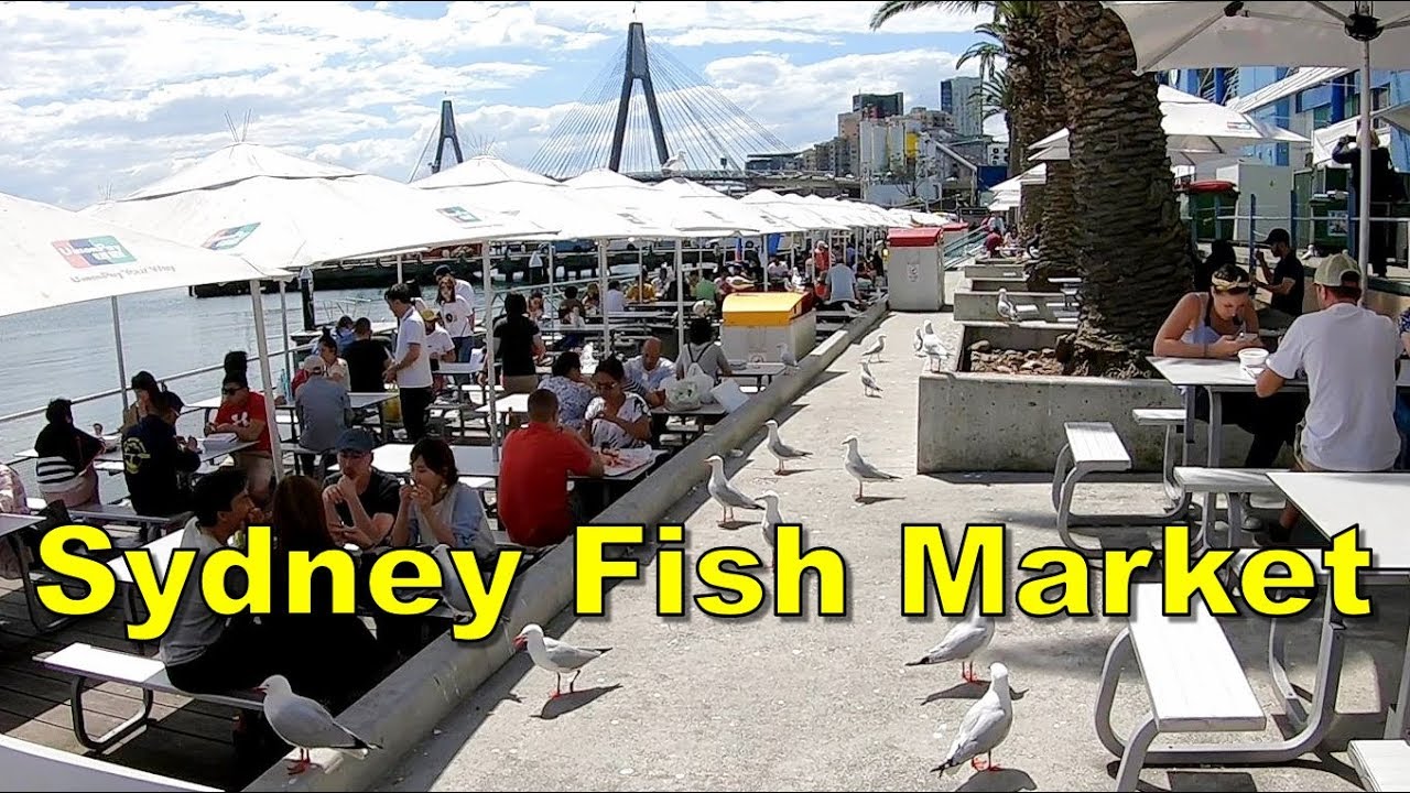 Sydney Fish Market – Sydney Australia Sydney Fish Market - Sydney Australia
