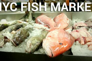 This Bronx Warehouse is Home to New York's Best Seafood