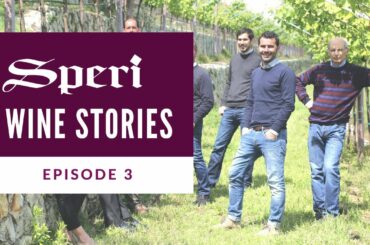 Speri Wine Stories | Episode 3: A Seventh-Generation Winery