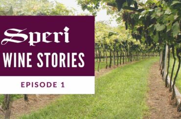Speri Wine Stories | Episode 1: Valpolicella Classica