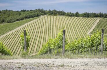 Chianti, Italy - S_PHOTO location scouting and management