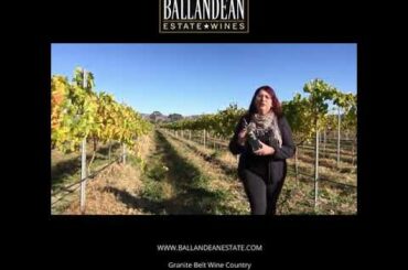 Malvasia vines and Leeanne Puglis Gangemi