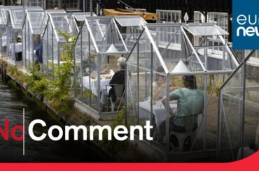 Coronavirus: Small greenhouses open to encourage social distanced dining