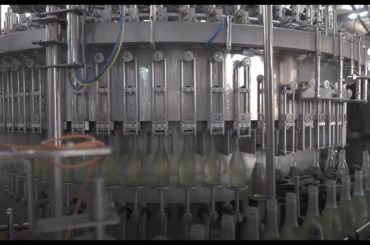 Della Toffola Group - ISO - EP 15.000 bph Wine Bottling - Ave Technologies - Due Palme Winery