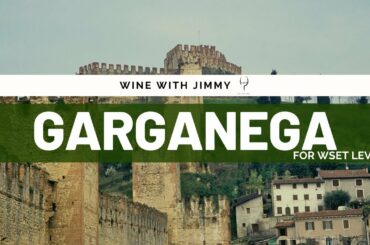 Grape Varieties - Garganega Intermediate Version ideal for WSET L2