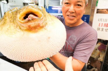 Japanese Street Food Tour in Osaka, Japan - DEADLY PUFFERFISH Sashimi (FUGU) + Noodle Tour of Osaka!