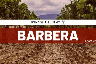 Grape Varietes - Barbera Advanced Version ideal for WSET L3 and L4