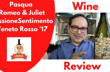 Pasqua Romeo & Juliet PassioneSentimento Veneto Rosso '17 92 Points