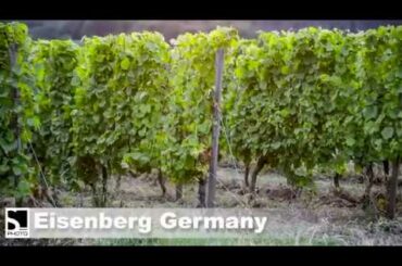 Vineyards, Eisenberg, Germany - S_PHOTO location scouting and management