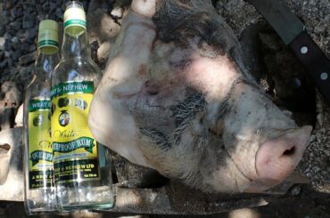 HOW TO COOK PIG the real Jamaican Way, get some rum and let's go