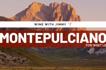 Grape Varieties Montepulciano Intermediate Version ideal for WSET L2