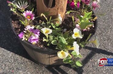 Some Mass. restaurants begin outdoor dining as state enters Phase 2